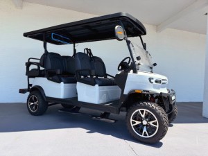 Teko Trophy 4 Plus 2 Limo Golf Cart 01
